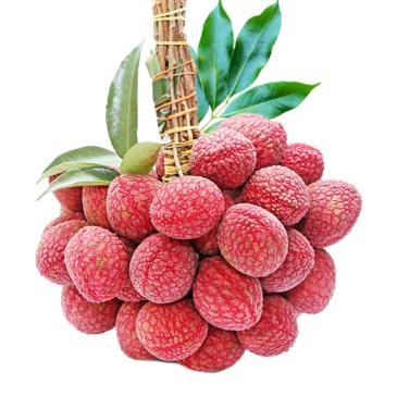 Lichu - Lychee - Litschi