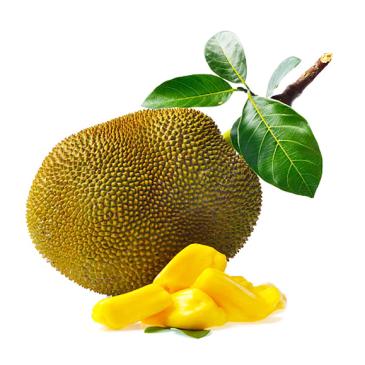 Kathal - Jackfruit - Jackfrucht