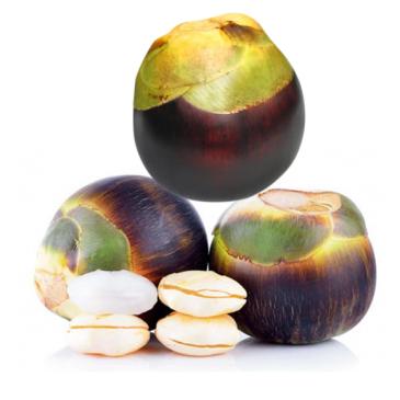 Tal - Palmyra Fruit  - Palmyrapalme Frucht